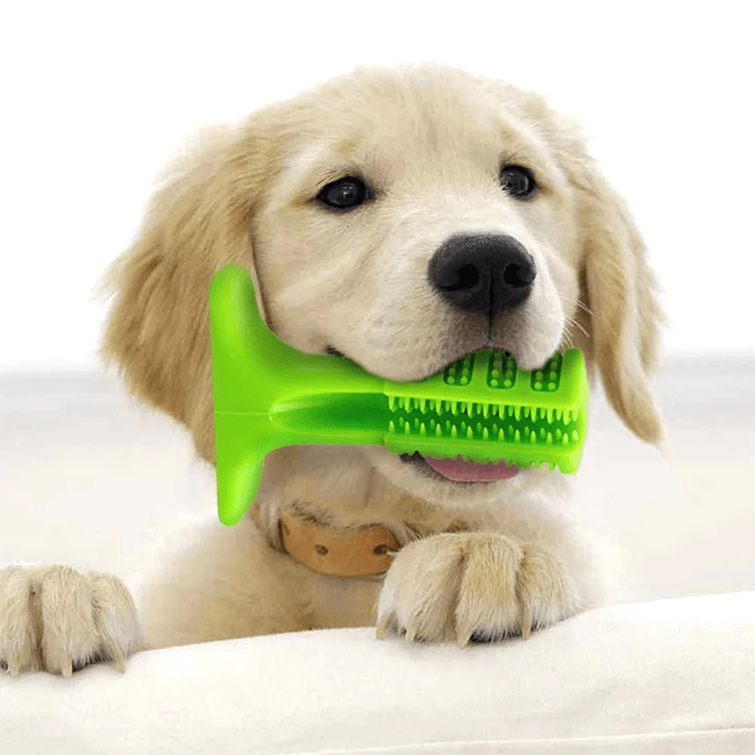 1+1 GRATIS | FurPal™ Zahnpflege für Ihren Hund! – Bild 3