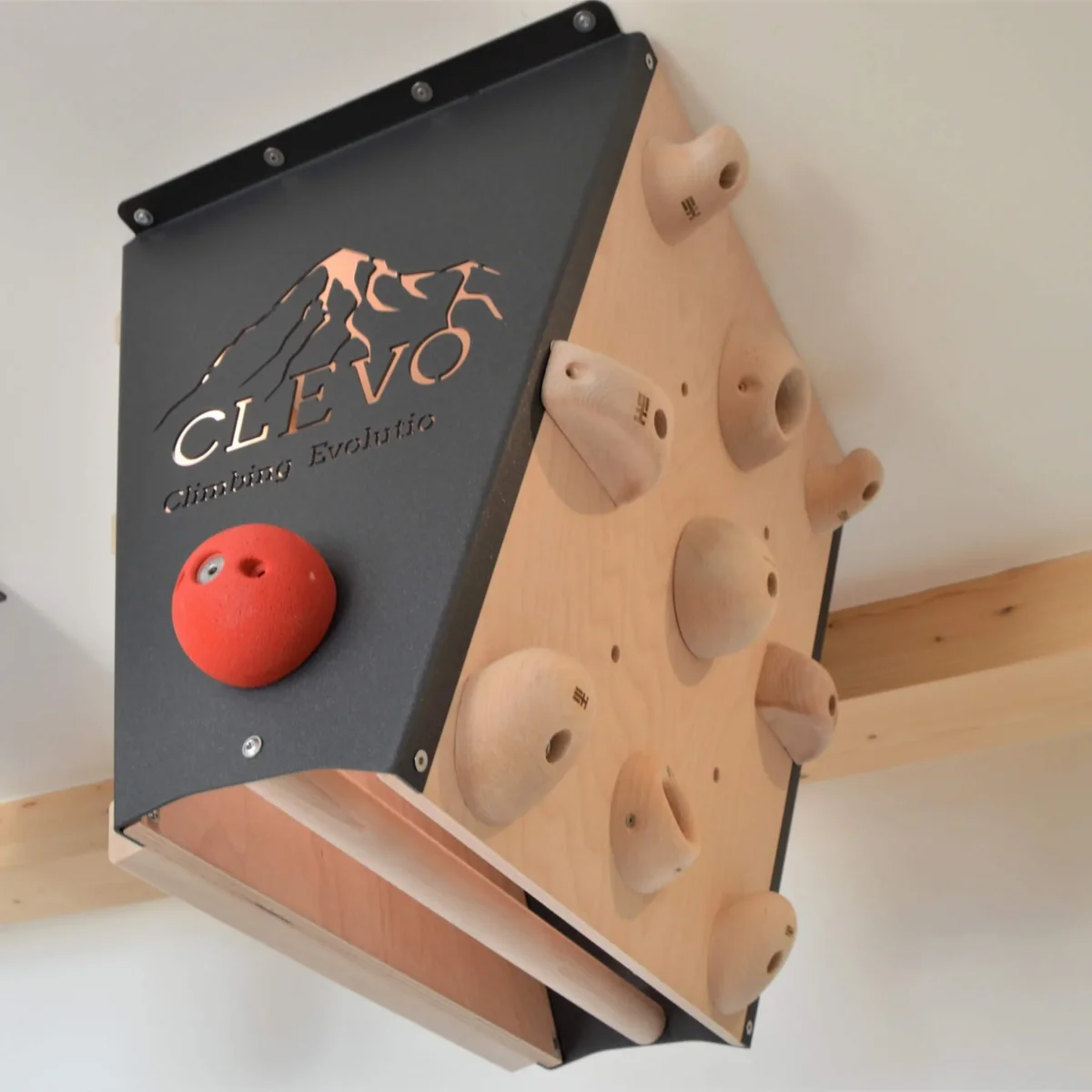 CLEVO L: Deckenbefestigung Campusboard, Klettergriffe und Klimmzugstange – Bild 4